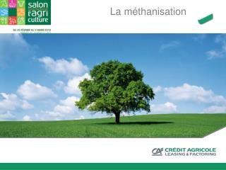 la m thanisation
