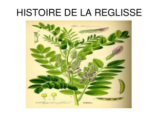 histoire de la reglisse