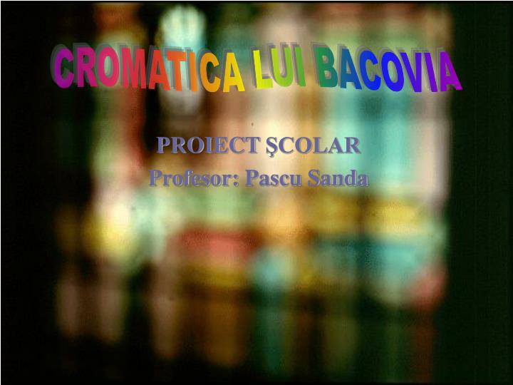 proiect colar profesor pascu sanda