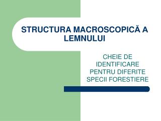 structura macroscopic a lemnului