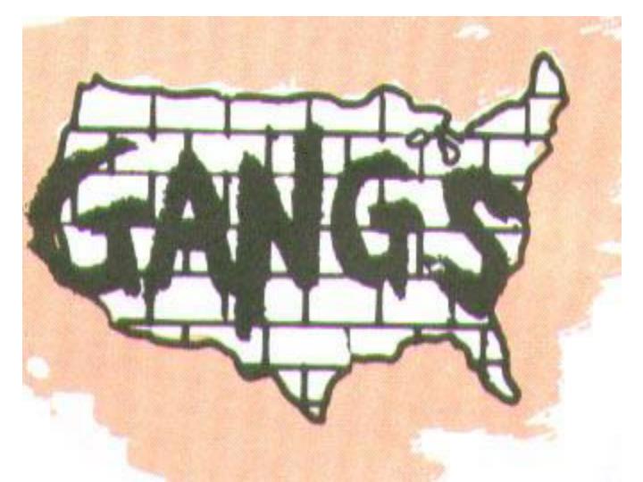 street gangs a growing world plague