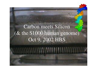 Carbon meets Silicon (&amp; the $1000 human genome) Oct 9, 2002 HBS