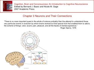 Cognition, Brain and Consciousness: An Introduction to Cognitive Neuroscience