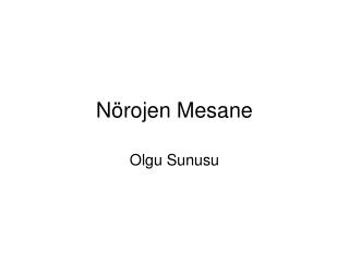n rojen mesane