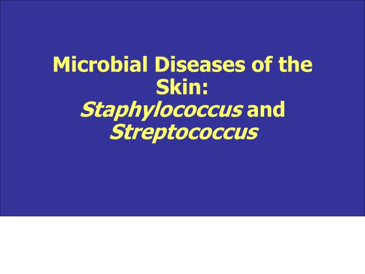 microbial diseases of the skin staphylococcus and streptococcus
