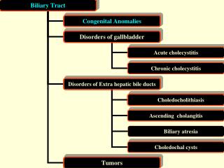 MC congenital anomalies = abnormal variants of the gallbladder MC= folded fundus ( Phrygian cap )