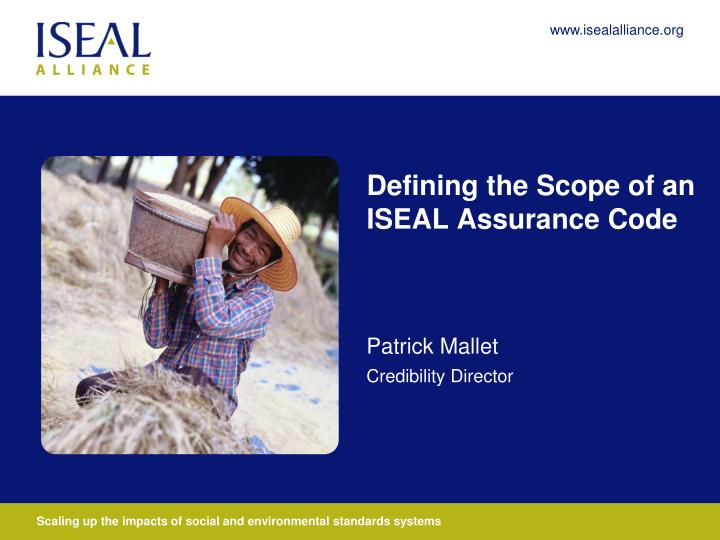 defining the scope of an iseal assurance code