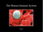 The Human Immune System - slide 1
