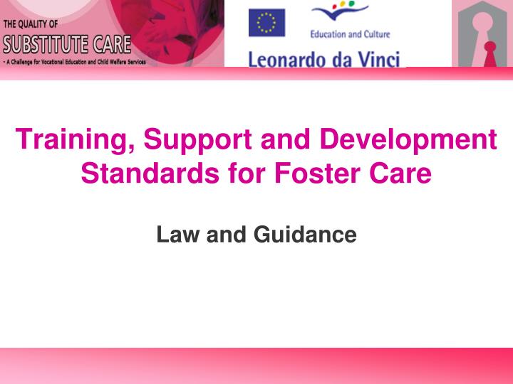 training support and development standards for foster care