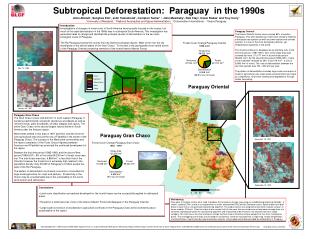 Subtropical Deforestation: Paraguay in the 1990s