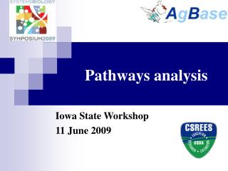 Pathways analysis