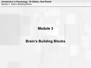 Module 3