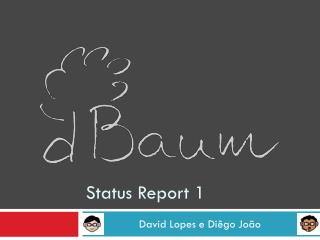 status report 1