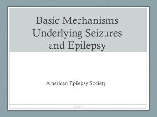 Basic Mechanisms Underlying Seizures and Epilepsy