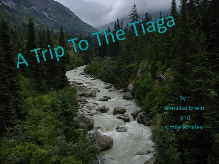 a trip to the tiaga