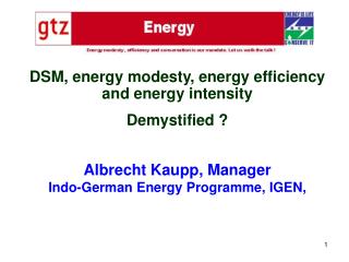 Albrecht Kaupp, Manager Indo-German Energy Programme, IGEN,