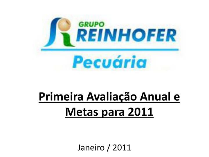 primeira avalia o anual e metas para 2011