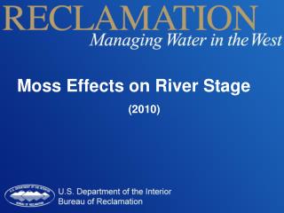 Moss Effects on River Stage (2010)