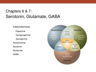 Chapters 6 &amp; 7: Serotonin, Glutamate, GABA