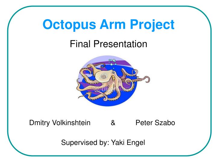 octopus arm project