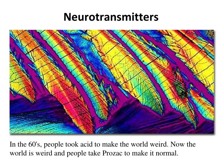 neurotransmitters