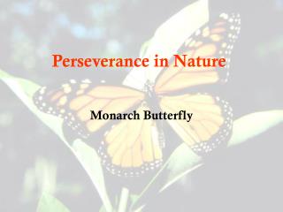 Perseverance in Nature