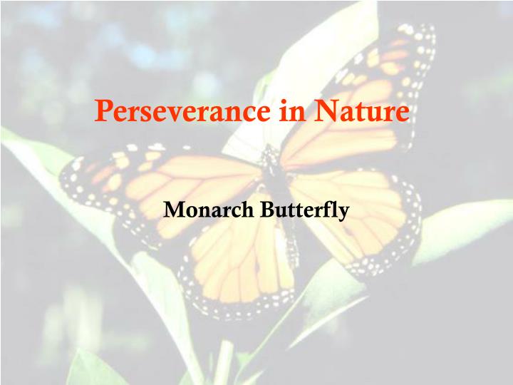 perseverance in nature