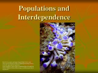 Populations and Interdependence