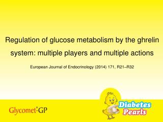Regulation of glucose metabolism by the ghrelin system: multiple players and multiple actions