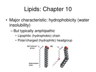 Lipids: Chapter 10