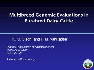 Multibreed Genomic Evaluations in Purebred Dairy Cattle