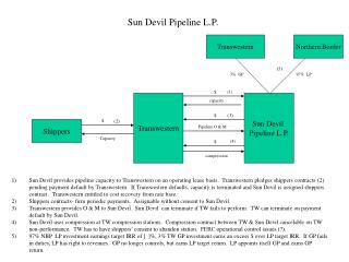 Sun Devil Pipeline L.P.