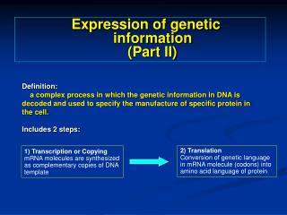 1) Transcription or Copying mRNA molecules are synthesized as complementary copies of DNA template