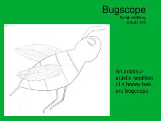 Bugscope Sarah McElroy EDUC 140
