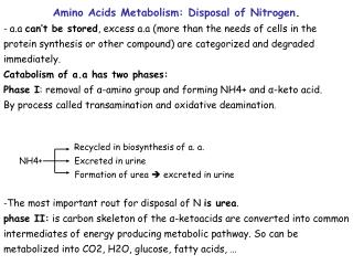 Amino Acids Metabolism: Disposal of Nitrogen .