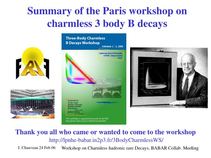 summary of the paris workshop on charmless 3 body b decays