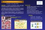 Medical Microbiology and Immunology - slide 1
