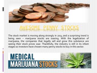 medicalmarijuanastocks.org