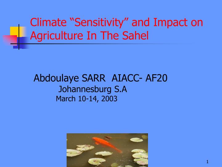 climate sensitivity and impact on agriculture in the sahel
