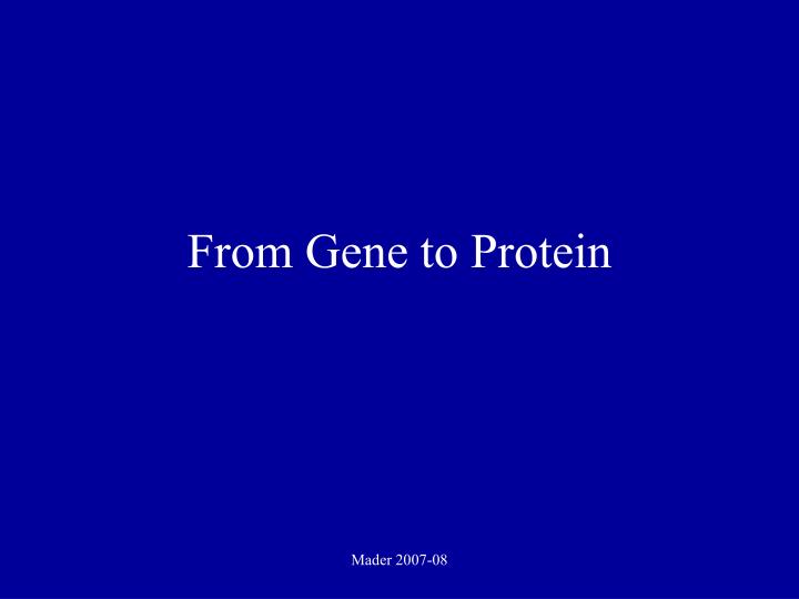 from gene to protein