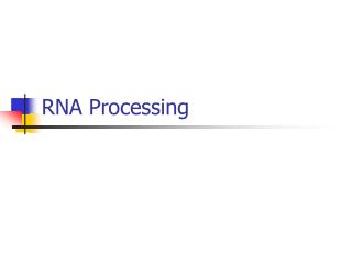 RNA Processing