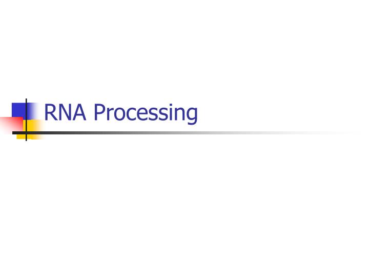 rna processing
