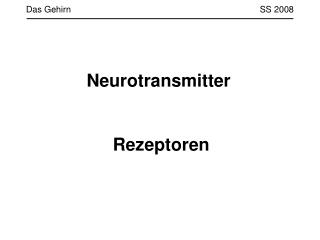 das gehirn ss 2008