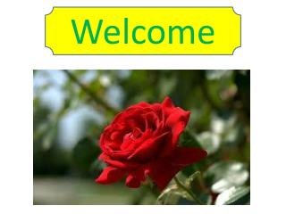 Welcome