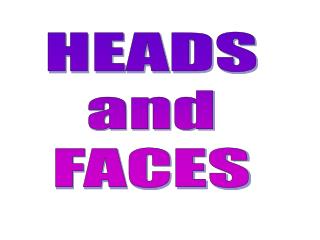 HEADS and FACES