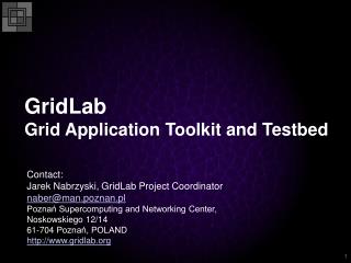 GridLab Grid Application Toolkit and Testbed