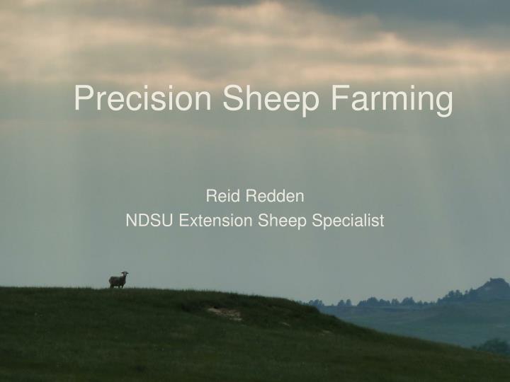 precision sheep farming