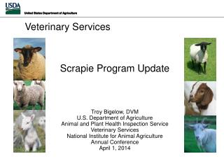 Scrapie Program Update Troy Bigelow, DVM U.S . Department of Agriculture