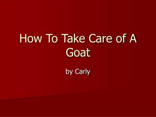How To Take Care of A Goat