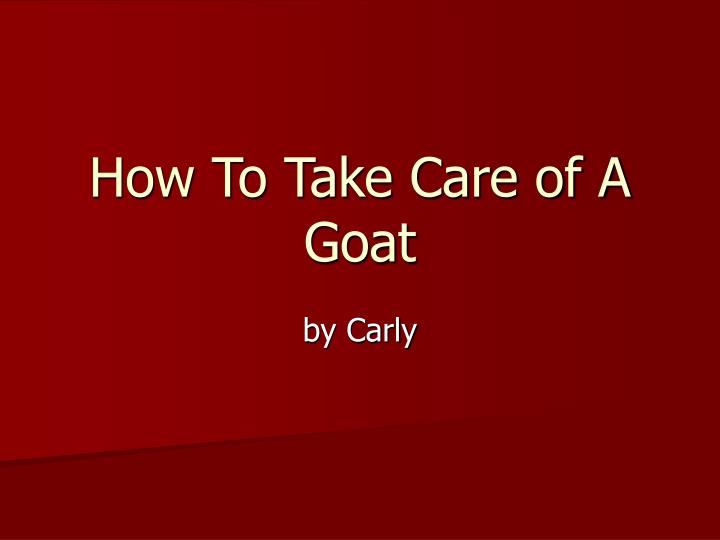 how to take care of a goat
